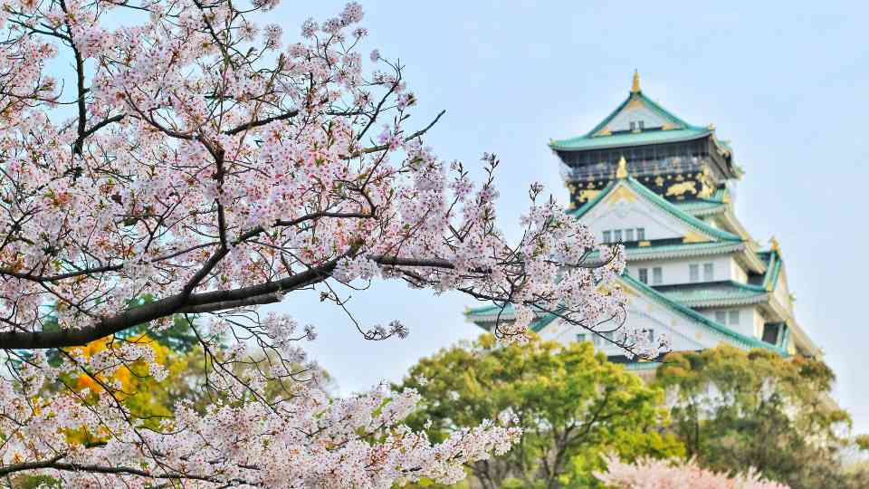 japanese-encephalitis-travel-destination-featured
